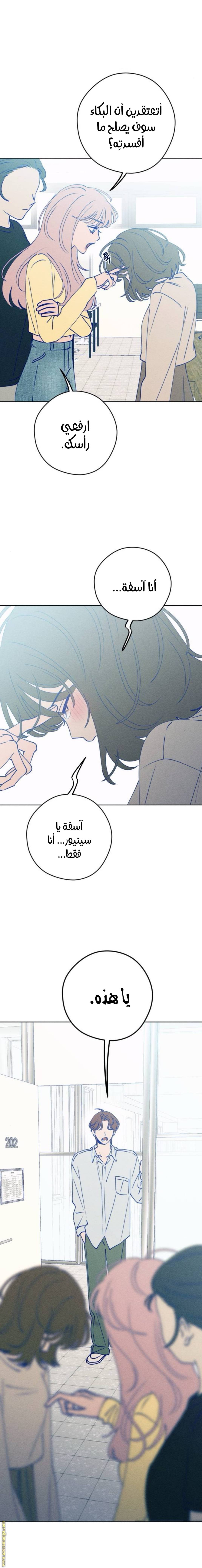 الصفحة 20