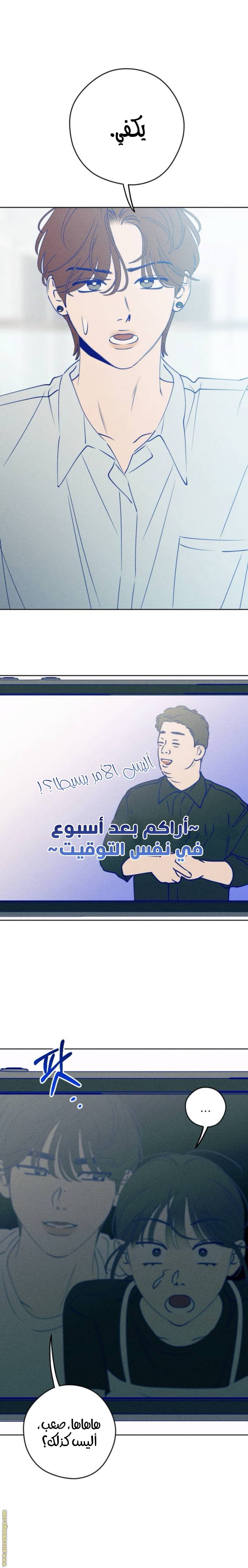 الصفحة 21