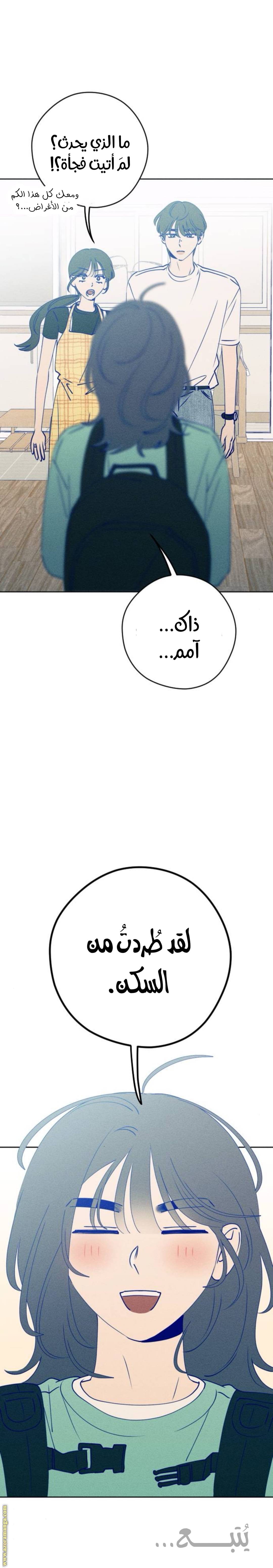 الصفحة 26