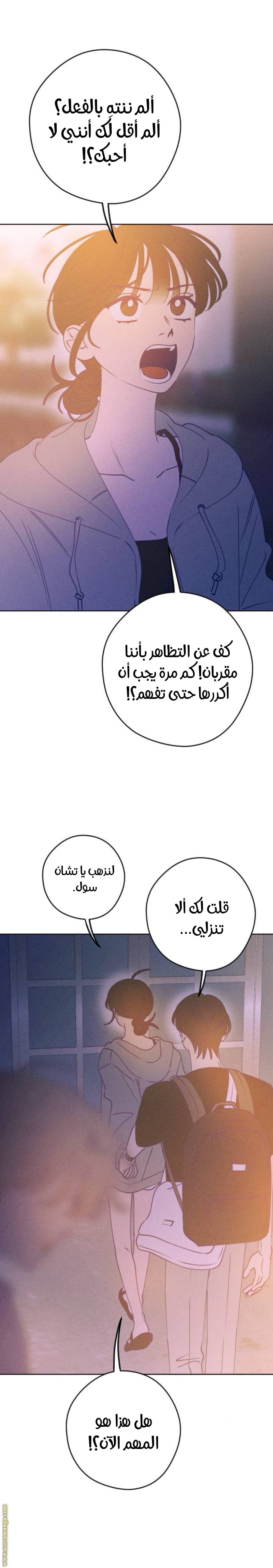 الصفحة 19