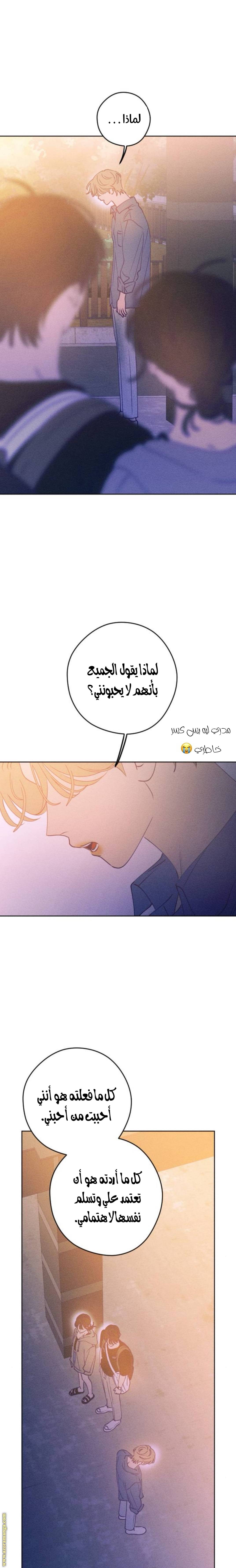 الصفحة 20