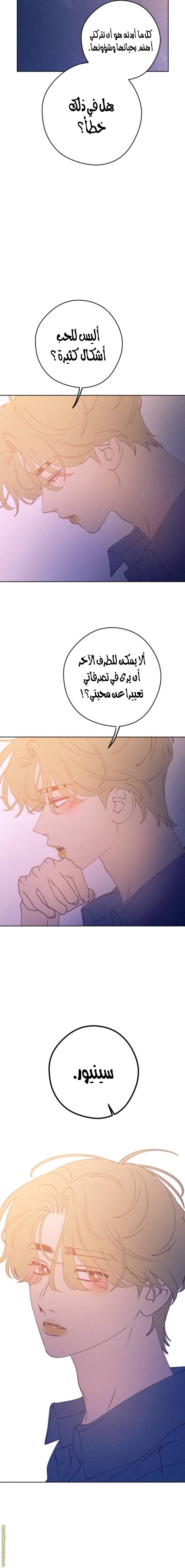الصفحة 21