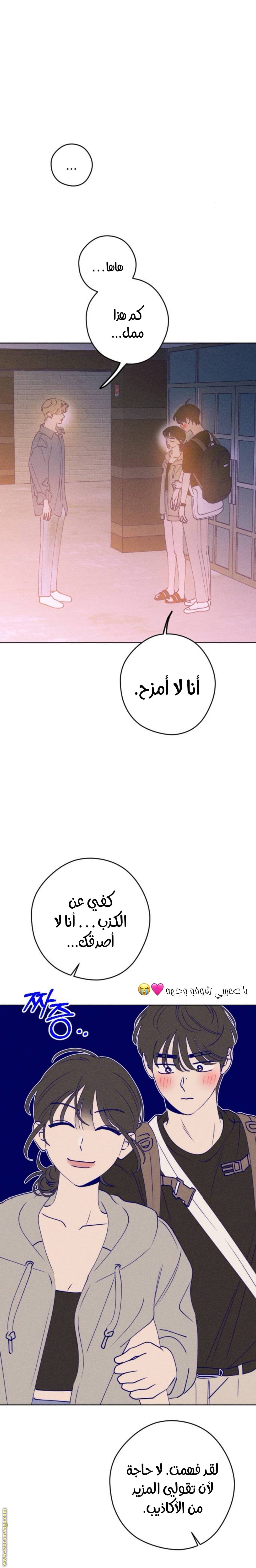 الصفحة 24
