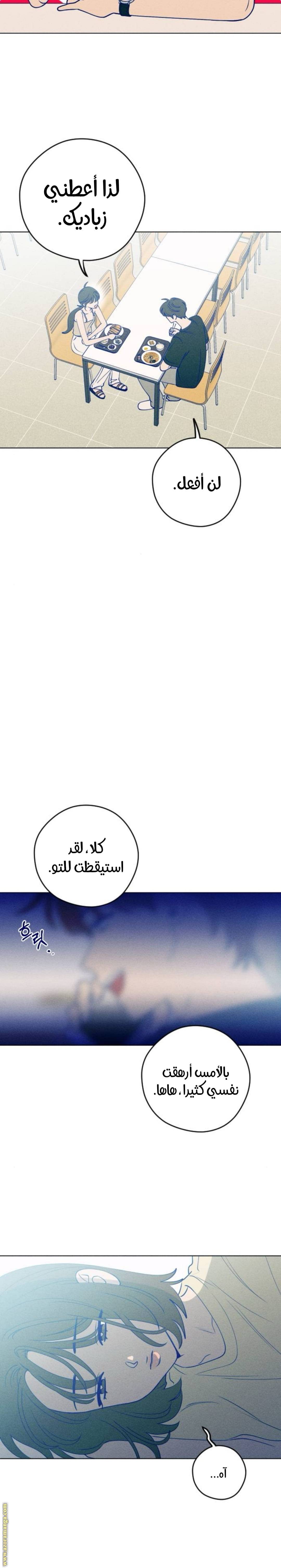 الصفحة 13