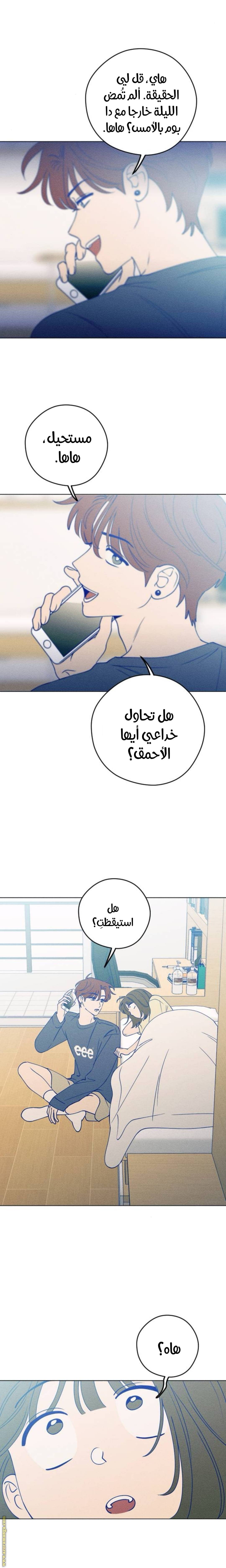 الصفحة 14