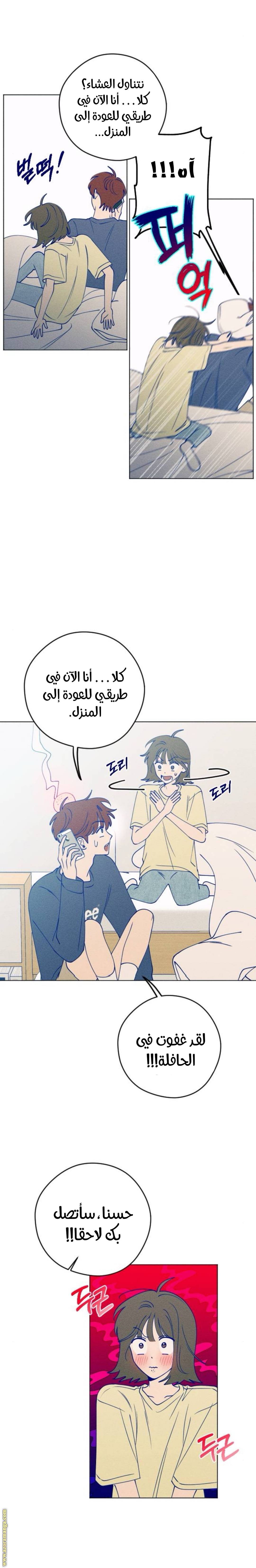 الصفحة 15