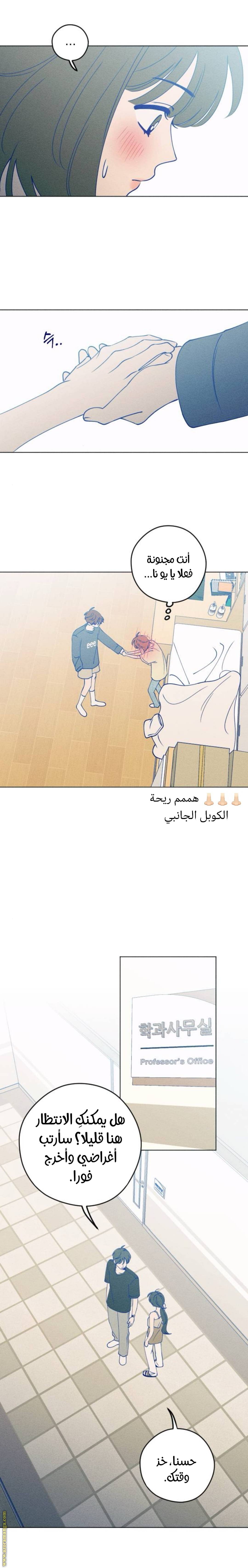 الصفحة 20