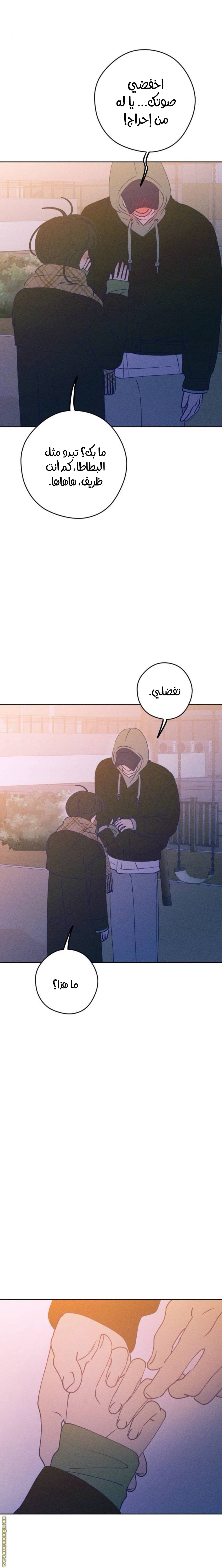 الصفحة 19