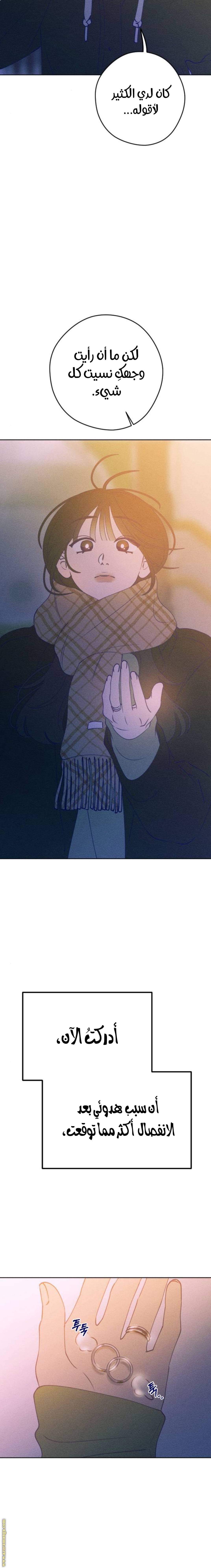 الصفحة 21