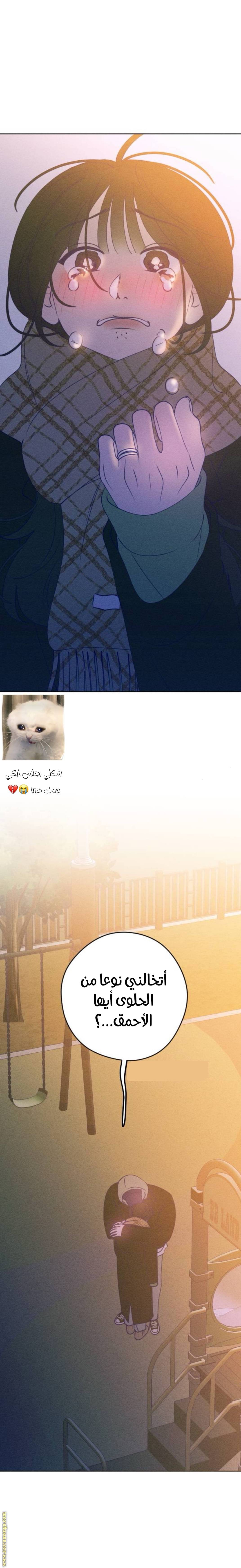 الصفحة 22