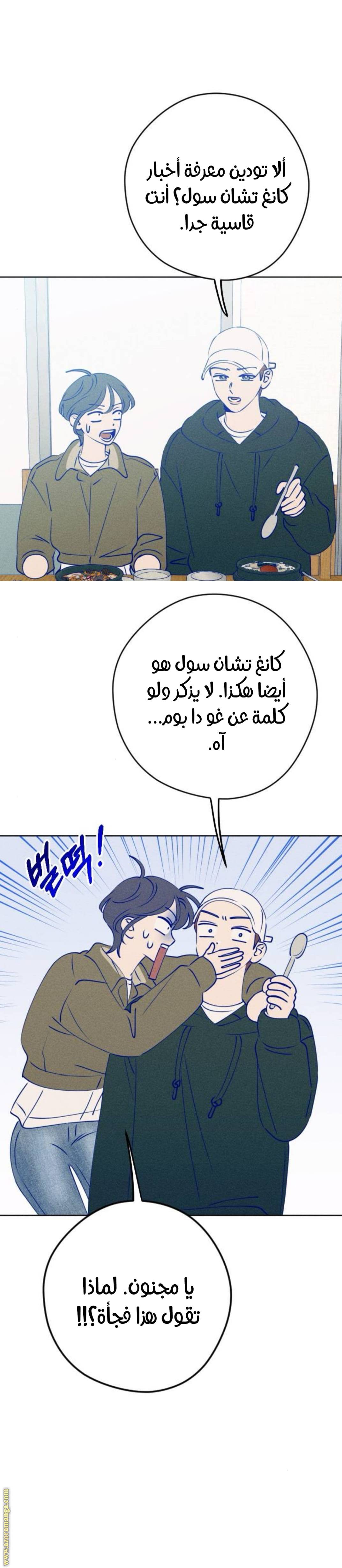 الصفحة 25