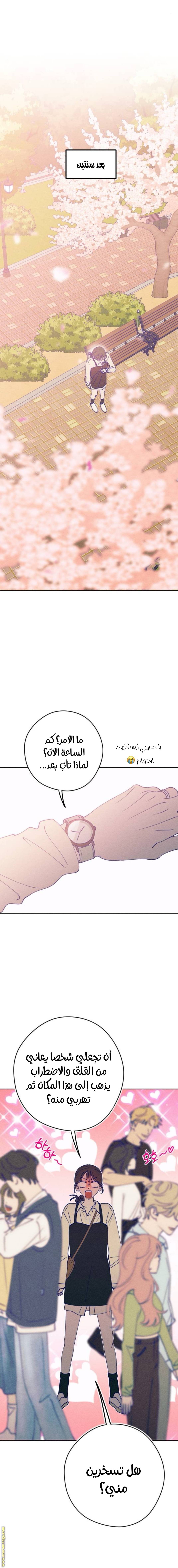 الصفحة 31