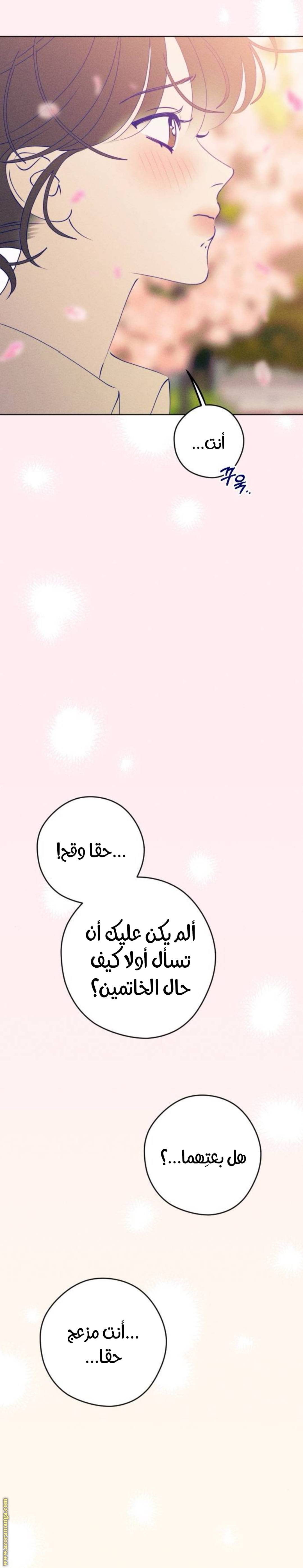 الصفحة 37