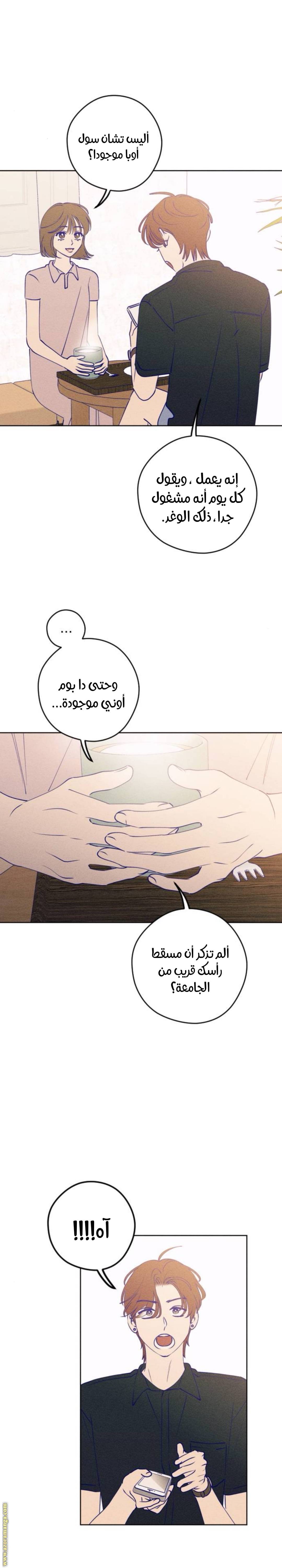 الصفحة 10