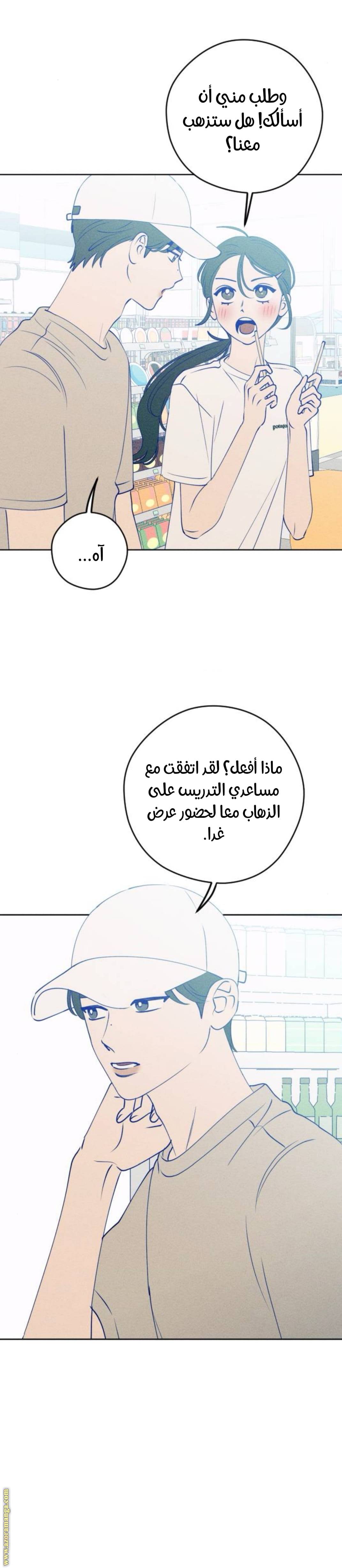 الصفحة 17