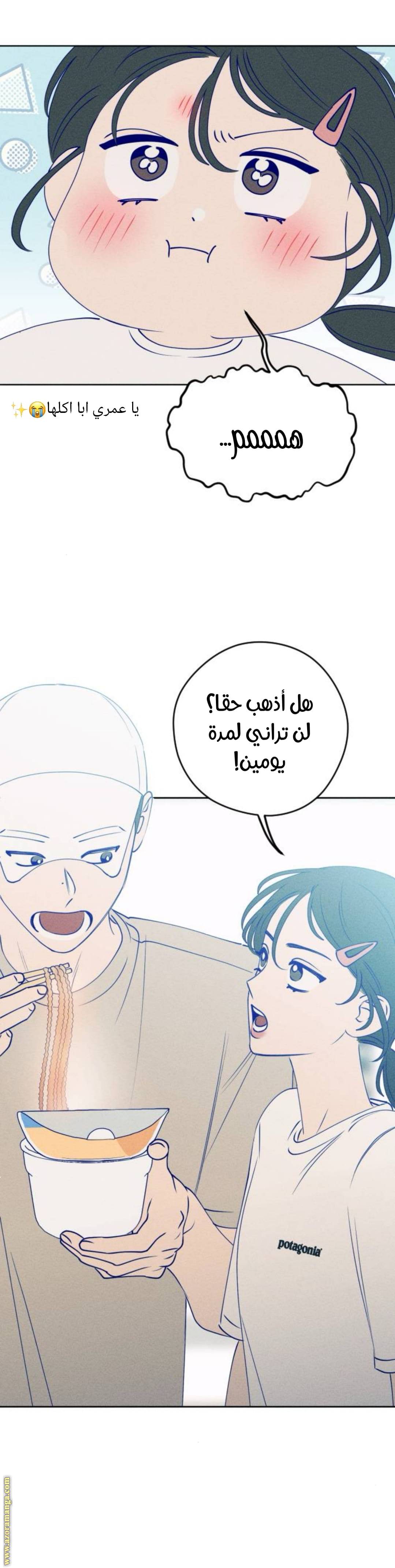 الصفحة 20