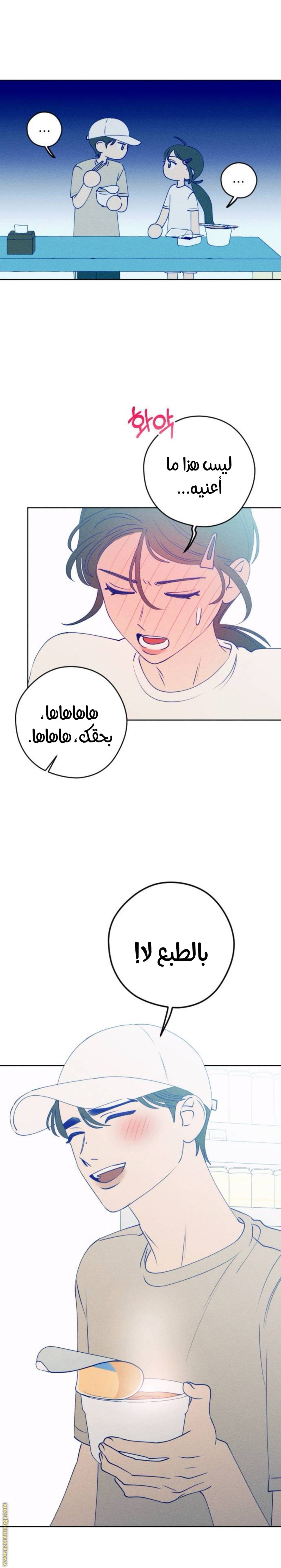 الصفحة 22