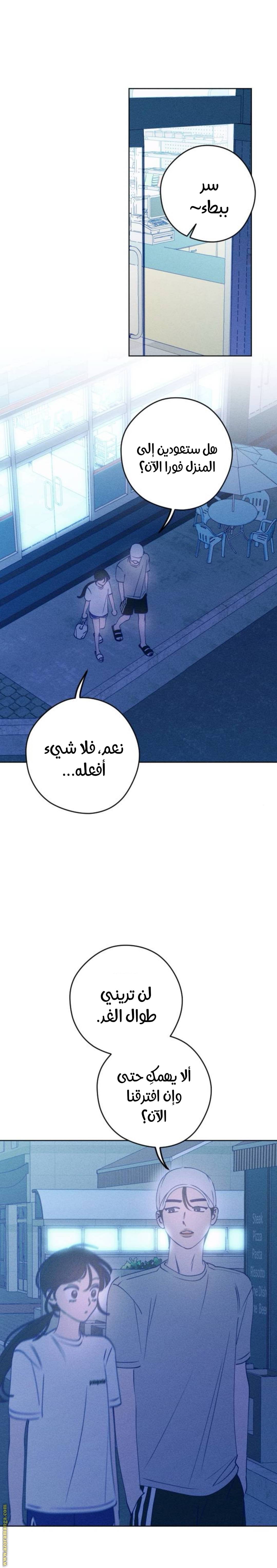 الصفحة 25