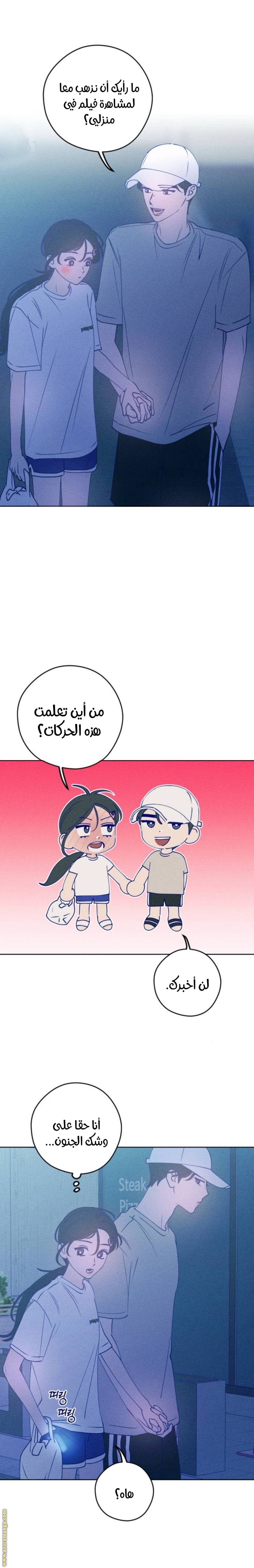 الصفحة 27