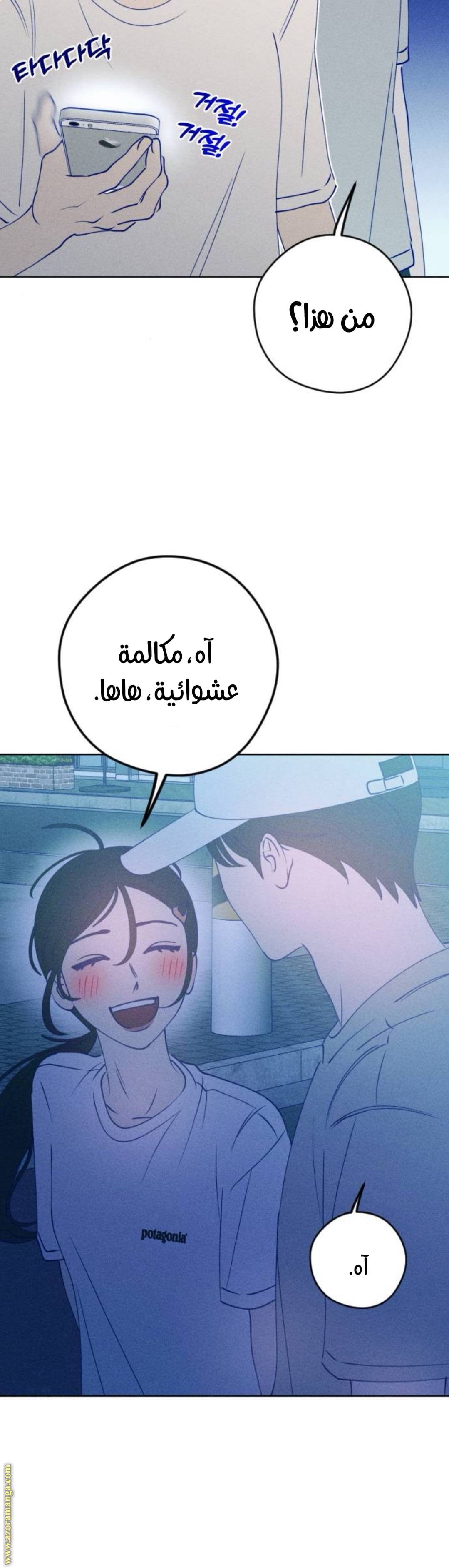 الصفحة 29