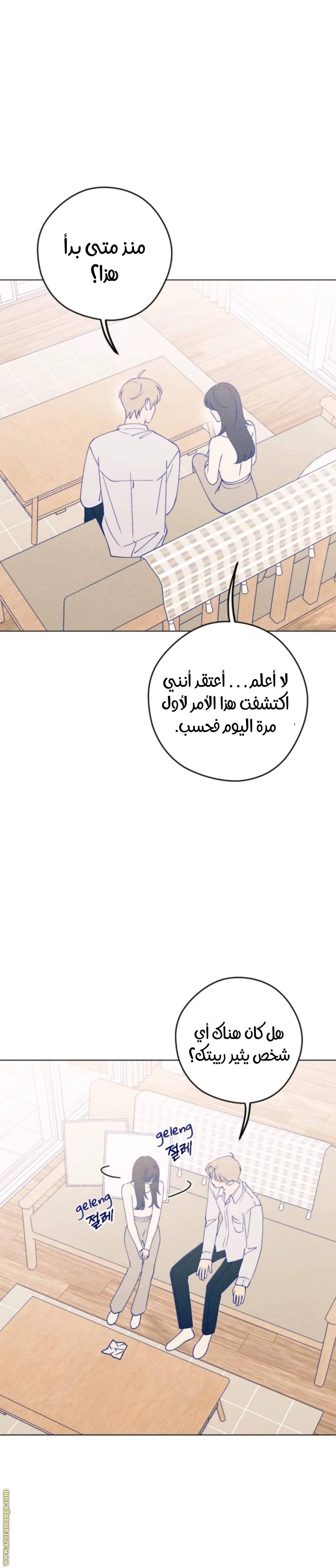 الصفحة 13