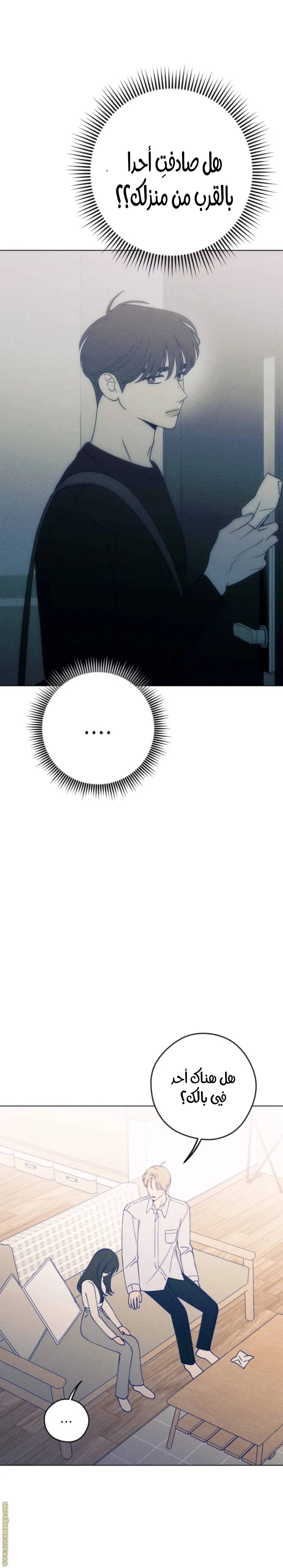الصفحة 17