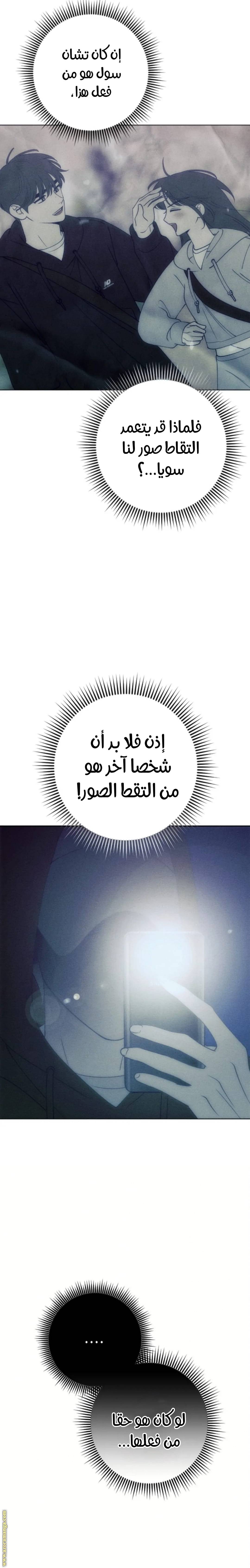 الصفحة 19