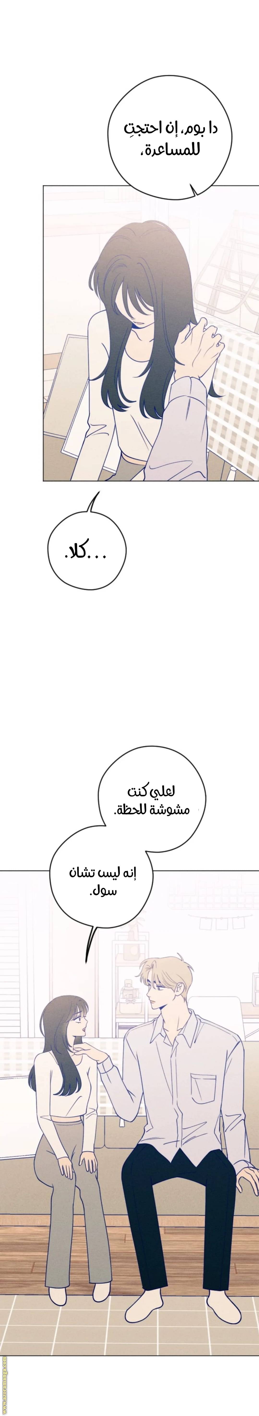 الصفحة 21