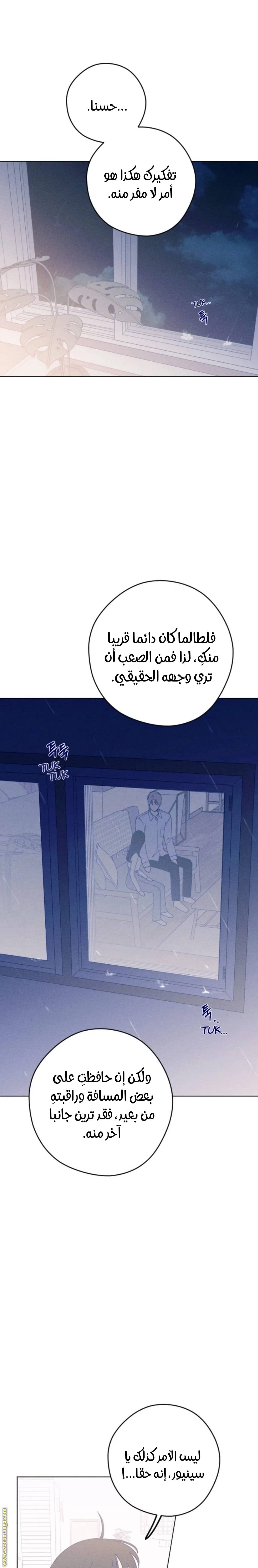 الصفحة 25