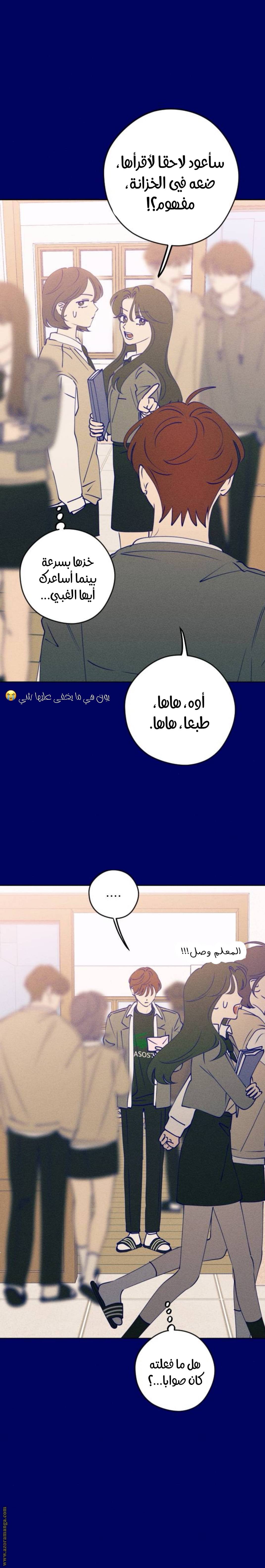 الصفحة 17