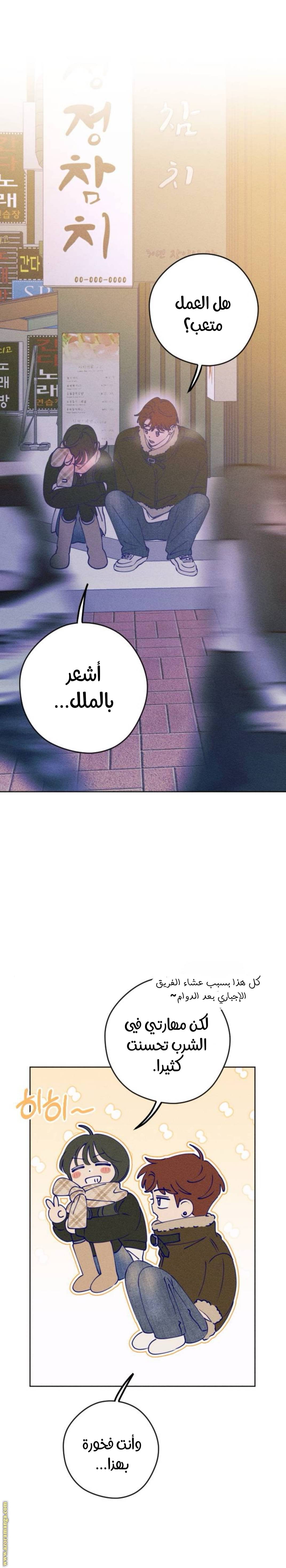 الصفحة 20