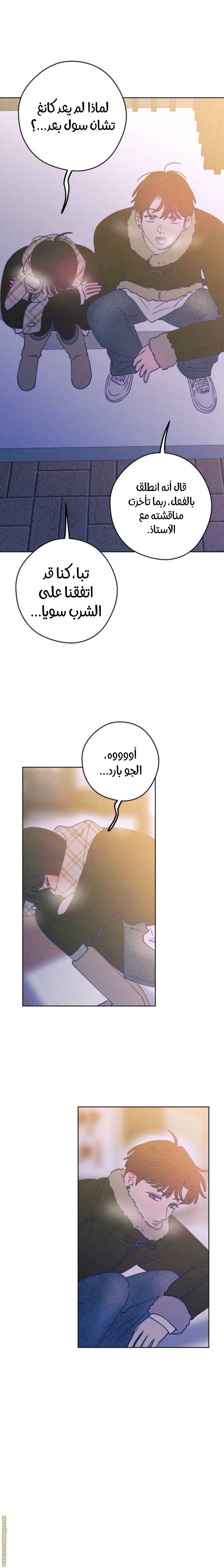 الصفحة 21