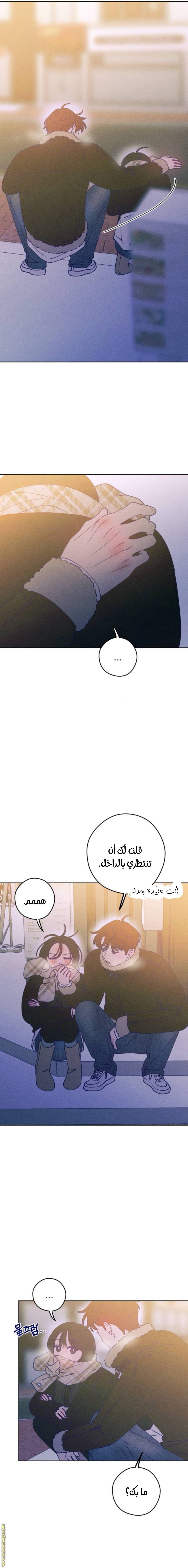 الصفحة 22