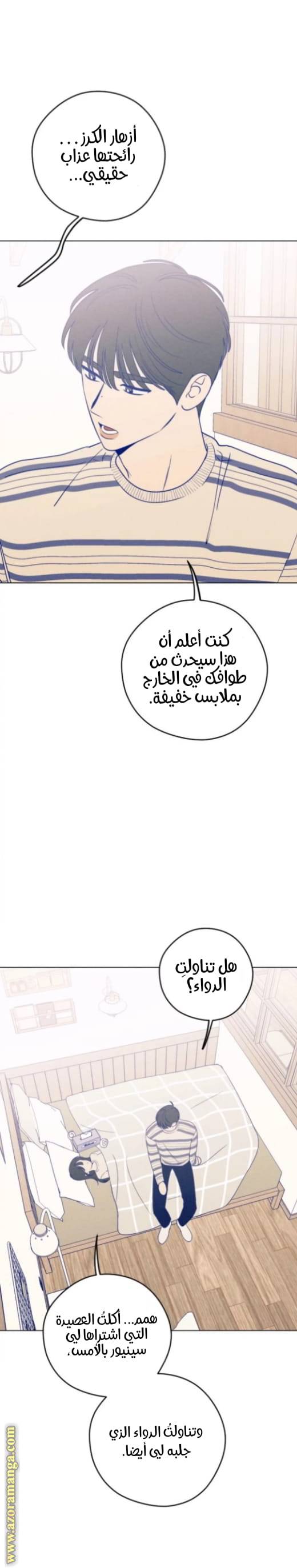 الصفحة 11