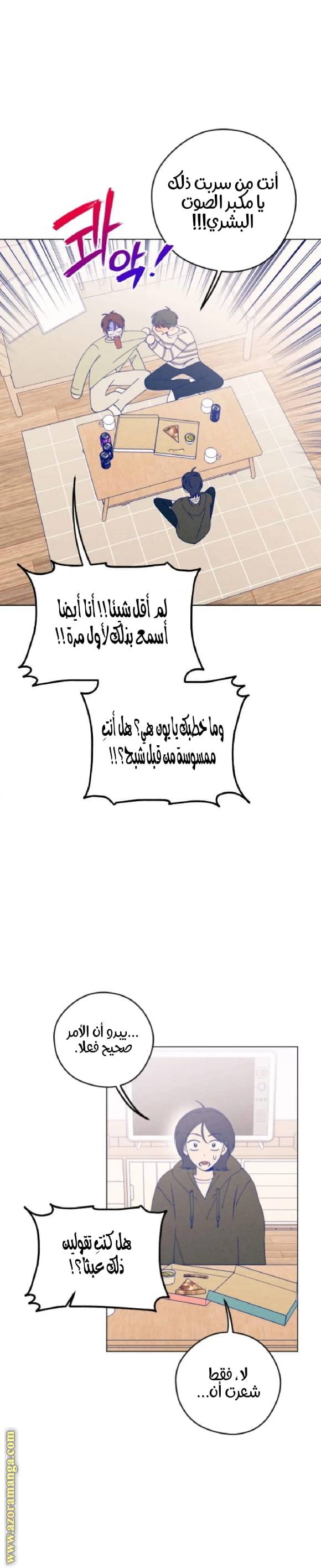 الصفحة 19