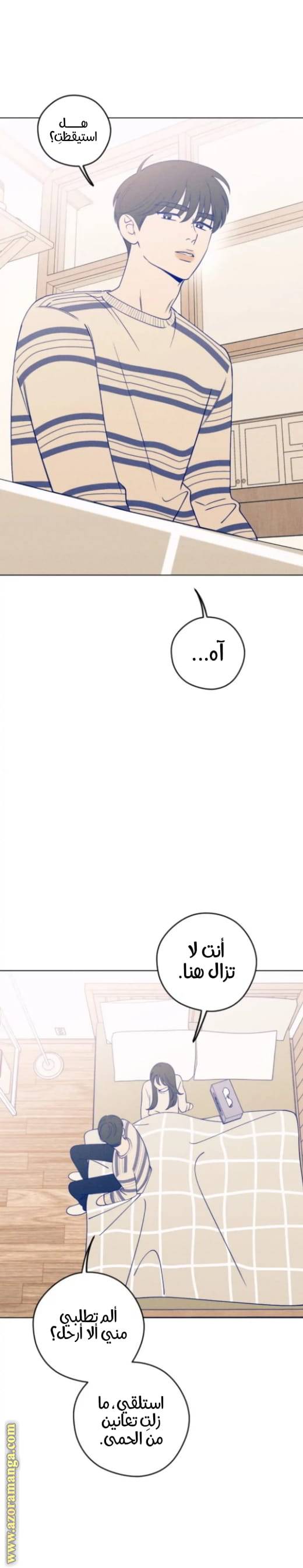 الصفحة 24