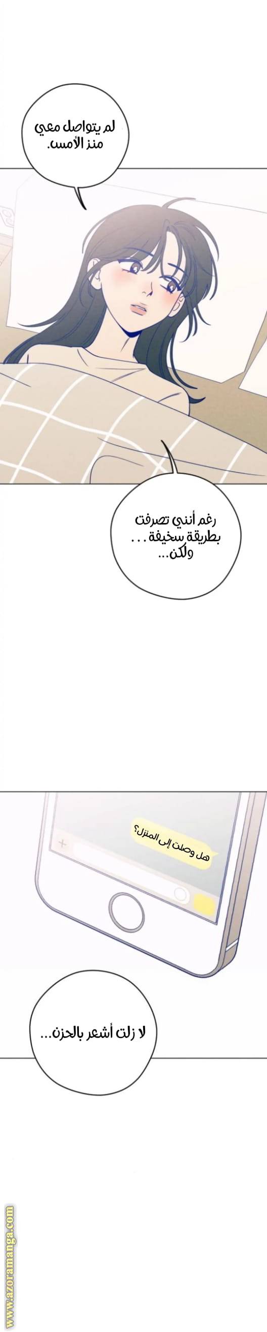 الصفحة 29