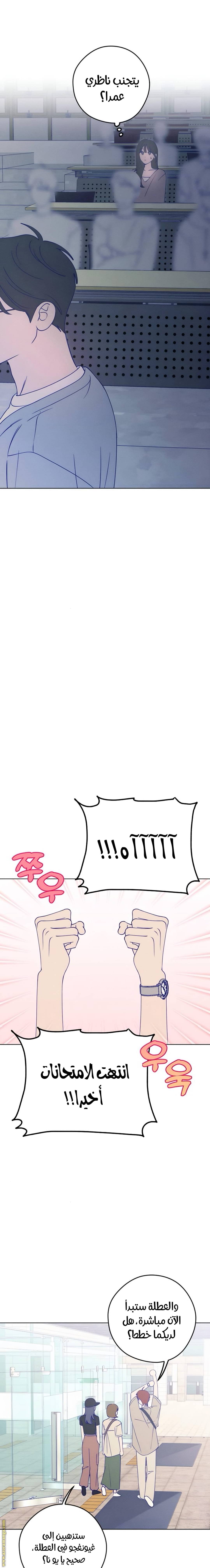 الصفحة 13