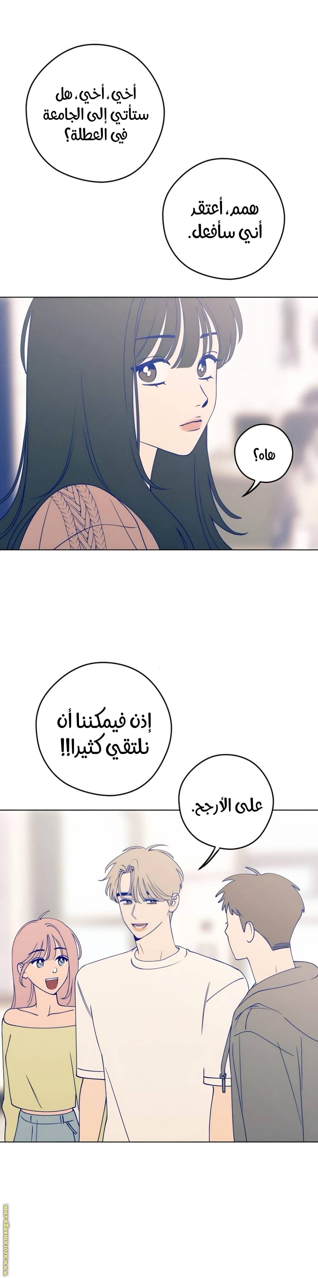 الصفحة 22