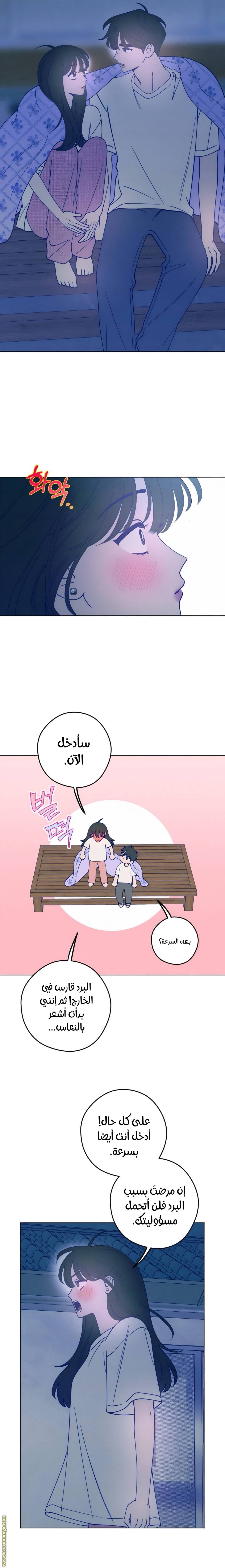 الصفحة 20