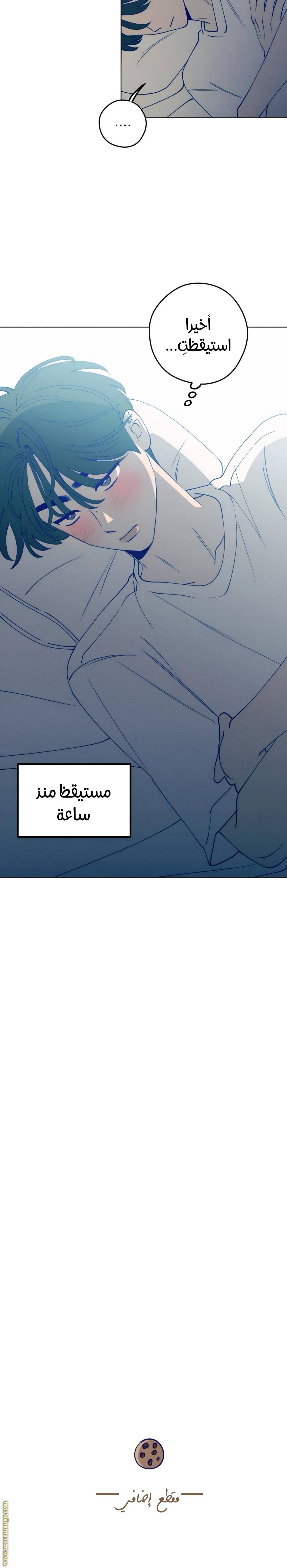 الصفحة 24