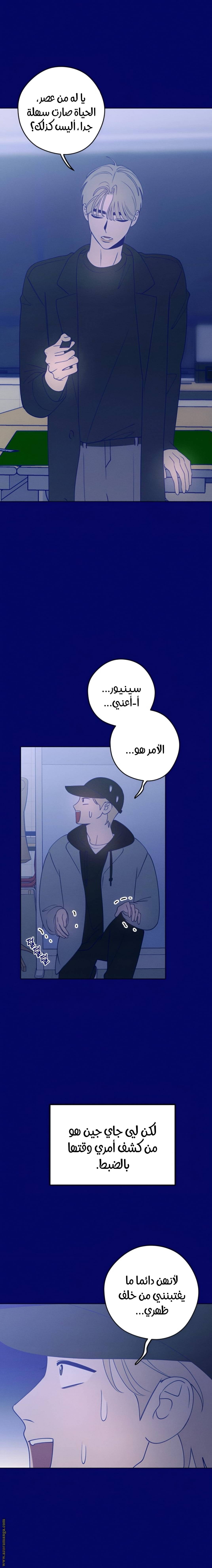 الصفحة 14