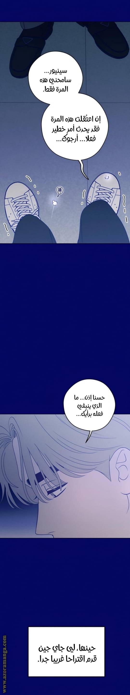 الصفحة 17