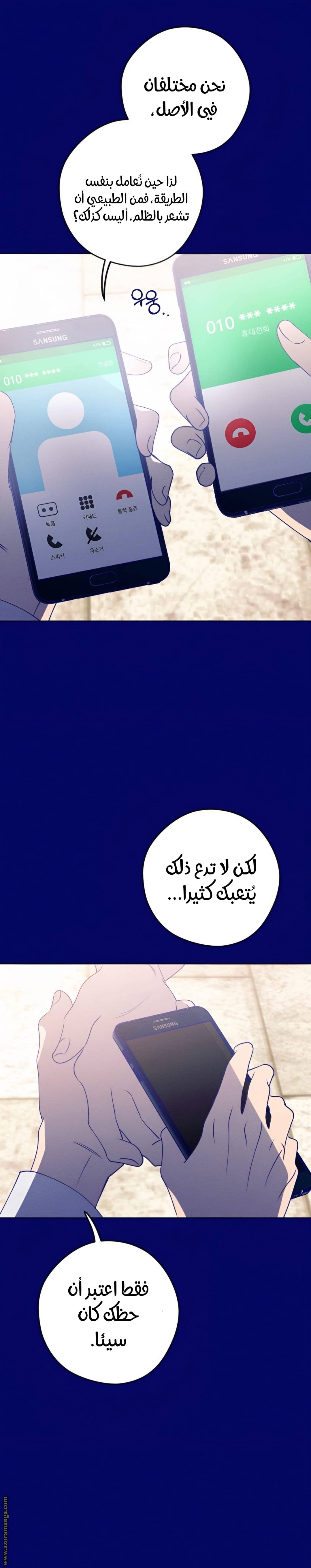 الصفحة 29