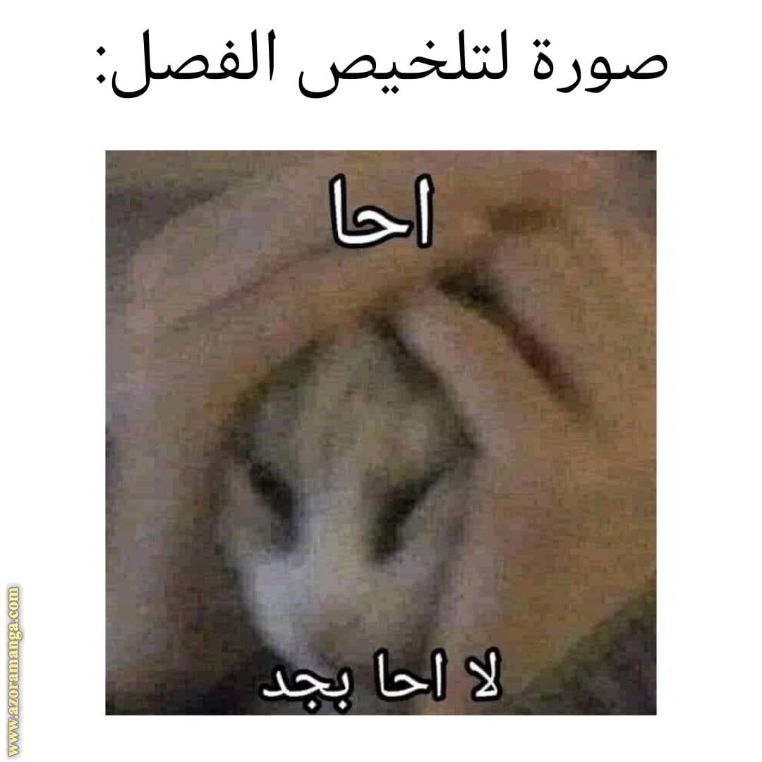 الصفحة 31