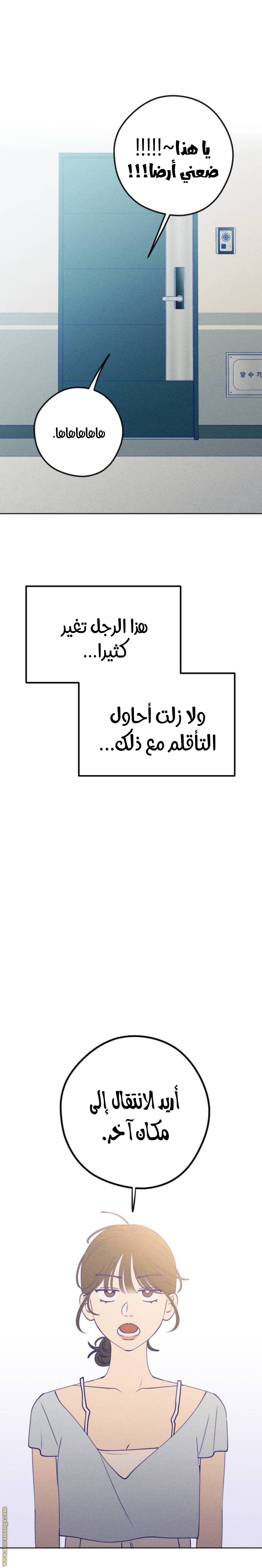 الصفحة 17