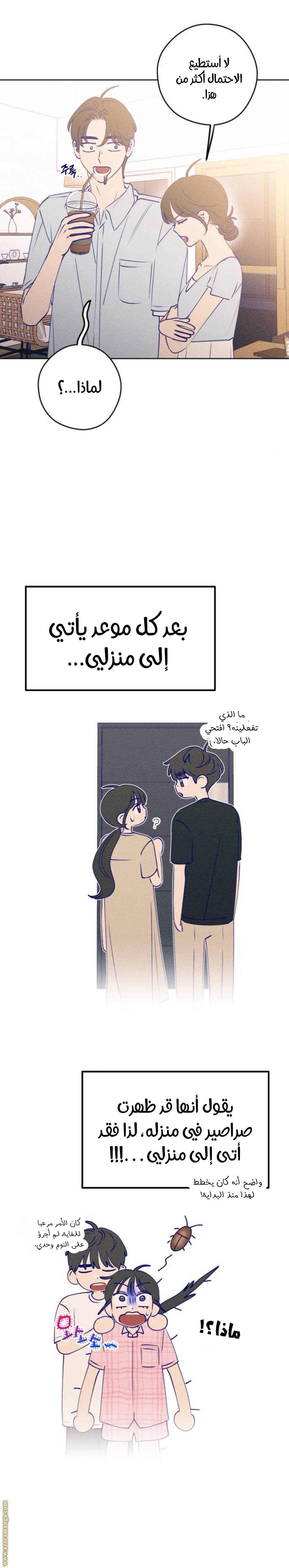 الصفحة 18