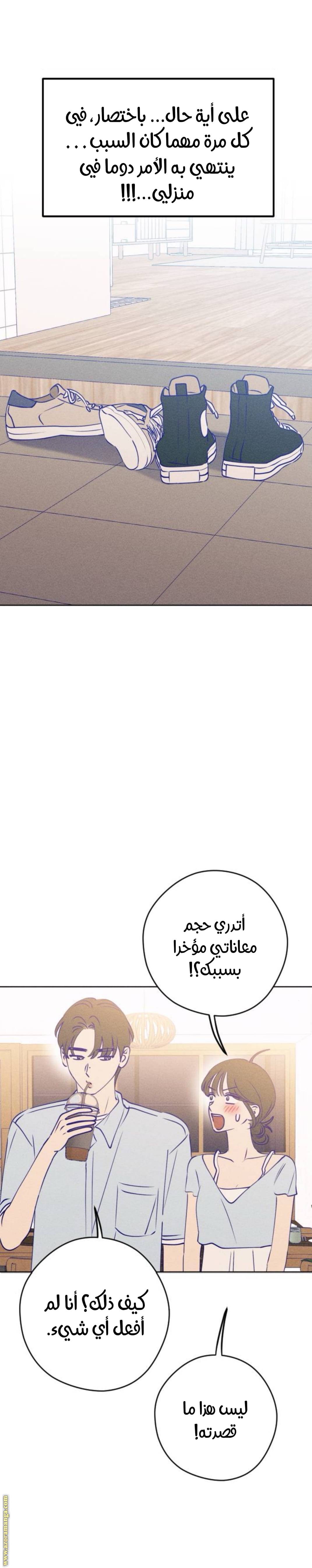 الصفحة 19