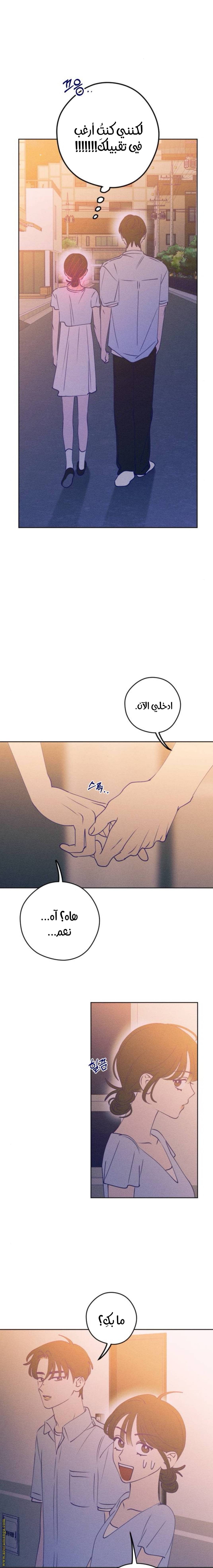 الصفحة 24