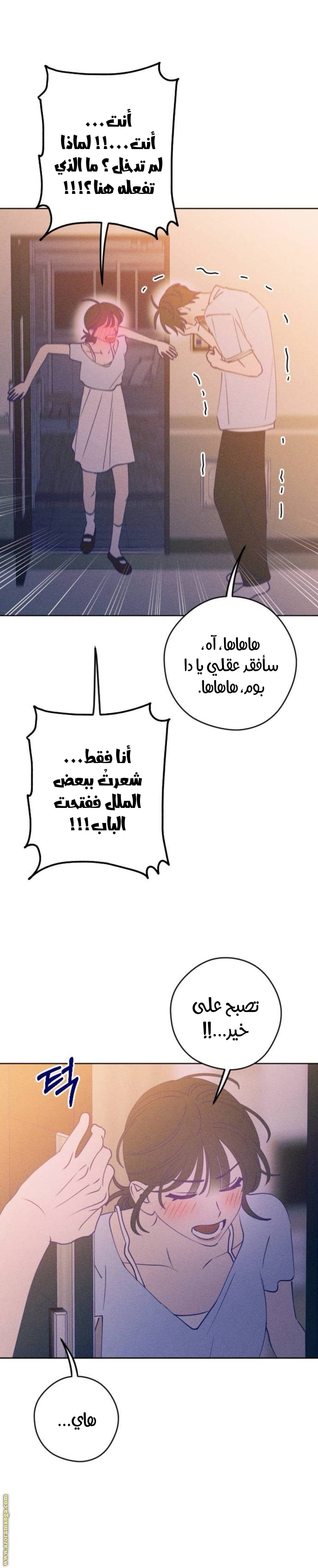 الصفحة 27